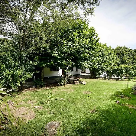 Farma Quinta Da Araucaria