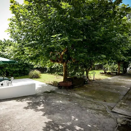 Quinta Da Araucaria Farma *