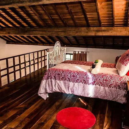 Farma Quinta Da Araucaria Porto Martins