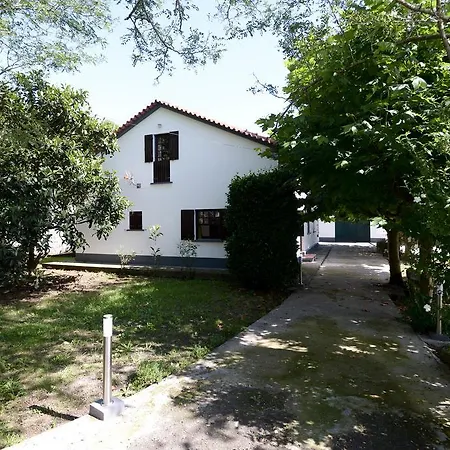 Quinta Da Araucaria * Porto Martins